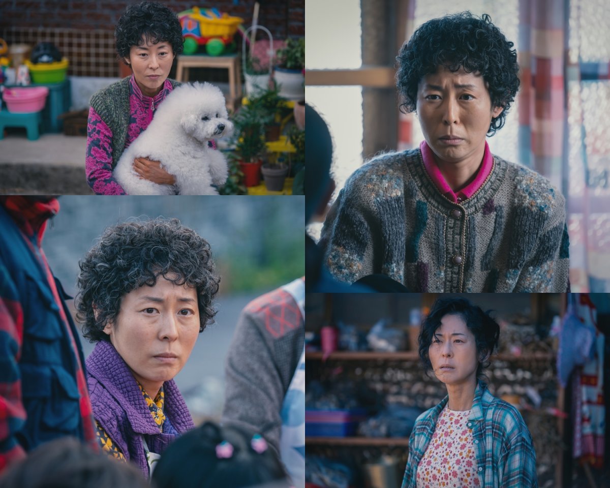 사진제공 = JTBC ‘나쁜엄마’ (드라마하우스스튜디오∙SLL∙필름몬스터)