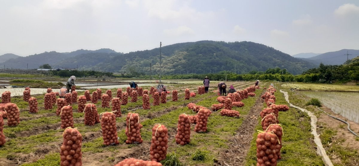 사진제공ㅣ청도군