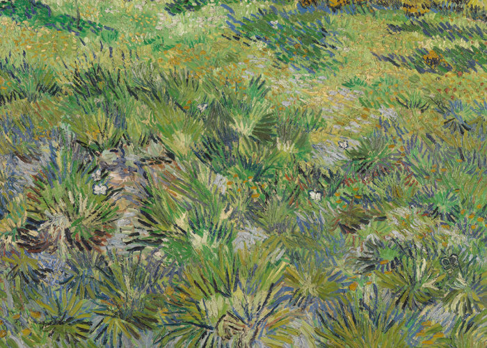 빈센트 반 고흐, 〈풀이 우거진 들판의 나비〉, 1890년