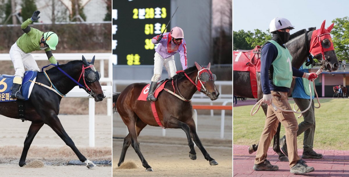 18일 렛츠런파크 서울 8경주로 열리는 ‘서울마주협회장배’ 대상경주에 출전하는 라온퍼스트, 행복왕자, 벌마의스타(왼쪽부터). 사진제공 l 한국마사회