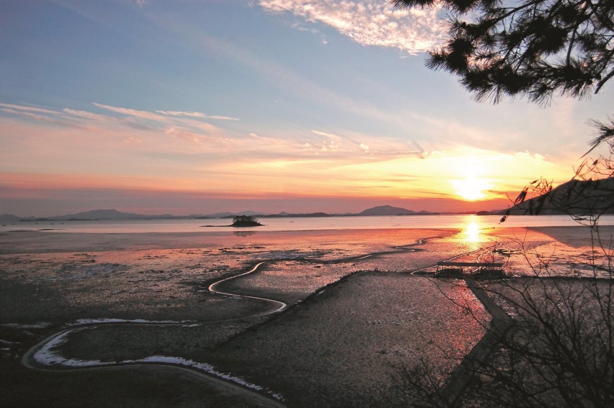 순천 갯벌 전경. 사진제공ㅣ순천시