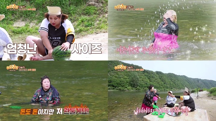 사진=채널S, KBS Joy