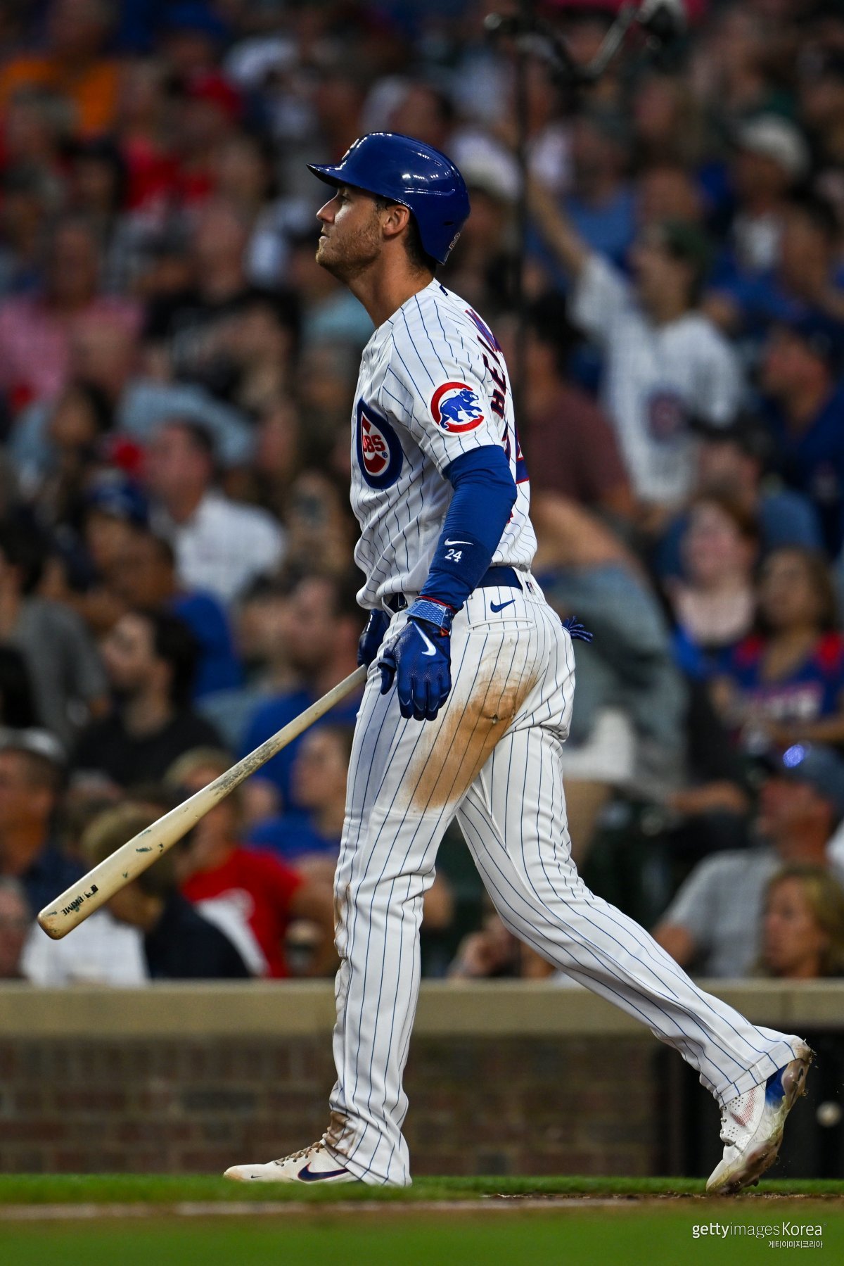 코디 벨린저. 사진=게티이미지코리아