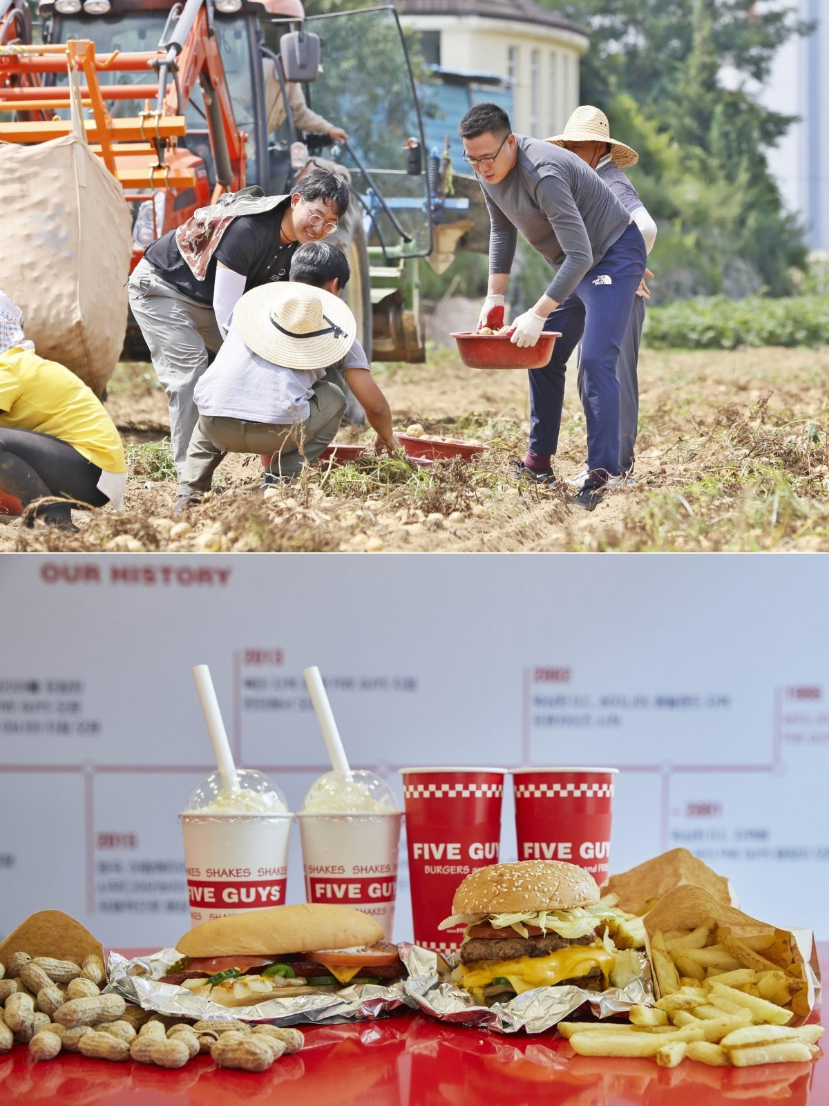 6월 론칭 이후 지속 순항하고 있는 파이브가이즈가 고객만족 및 지역상생 강화, 2호점 오픈 등으로 화제성을 이어가고 있다. 최근
강원 평창군 감자 산지를 찾아 수확에 동참한 김동선 한화갤러리아 전략본부장(위 사진 오른쪽)과 파이브가이즈 제품군.
사진제공|한화갤러리아