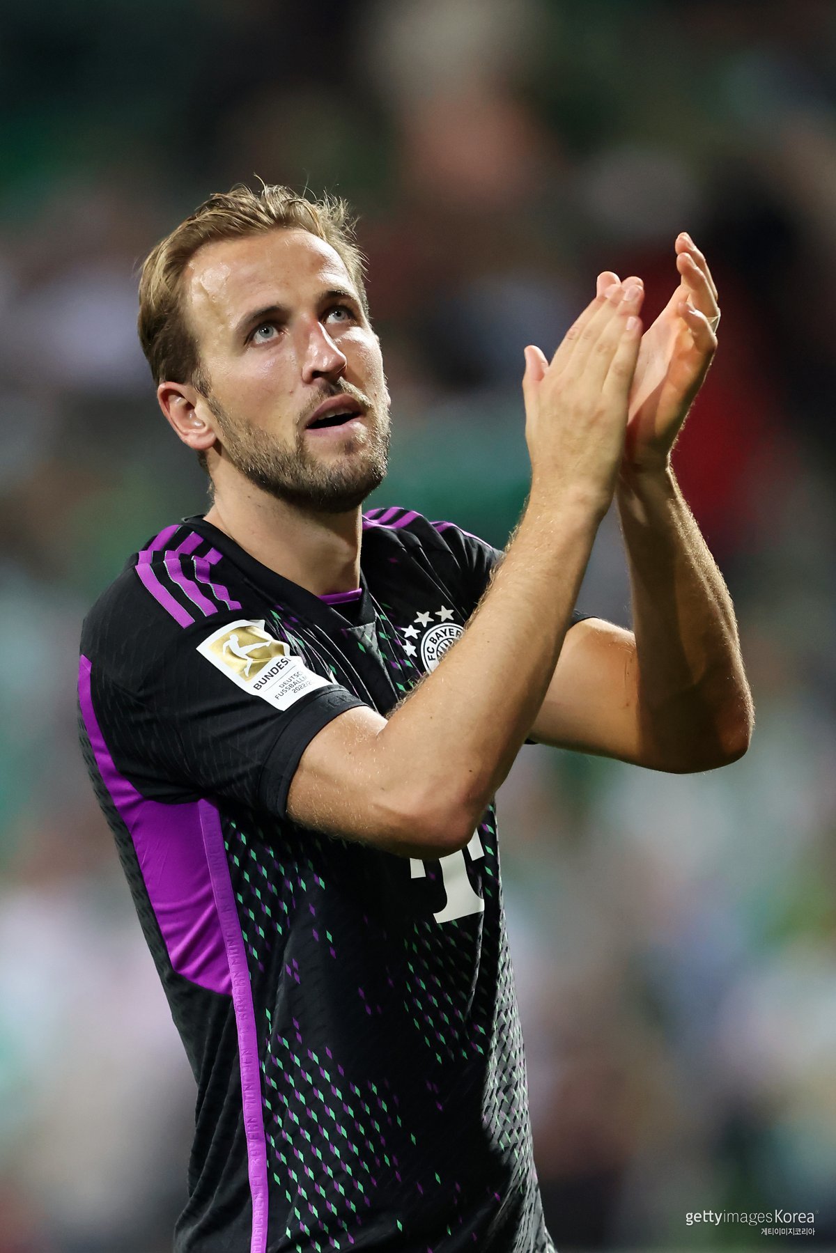 해리 케인. 사진=게티이미지코리아