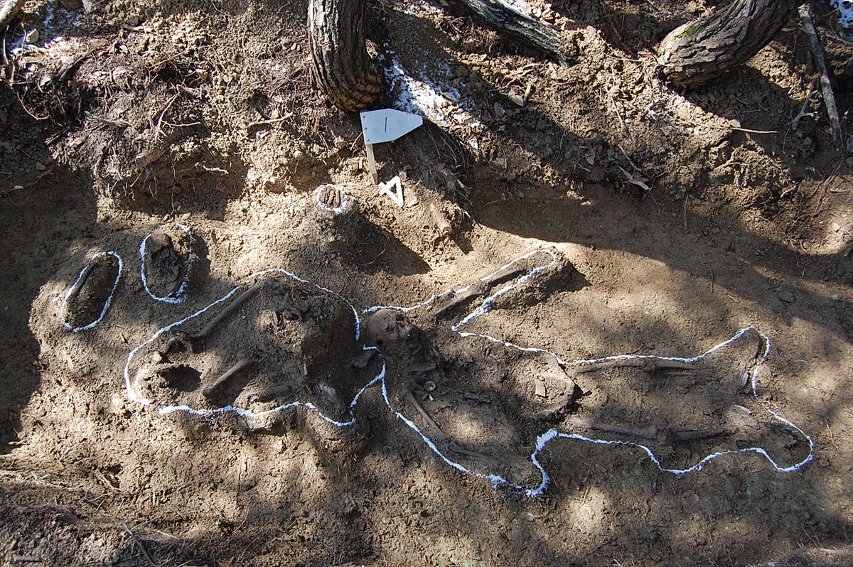 발굴 당시 고(故) 황병준 하사 유해 사진. 사진제공ㅣ국방부 유해발굴감식단