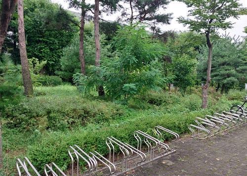 용인 상갈역 일원에 방치된 유휴지 시민 정원 공간으로 조성. 사진제공|용인시