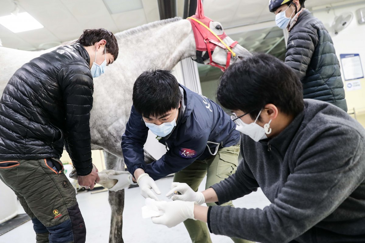 사진제공 | 한국마사회