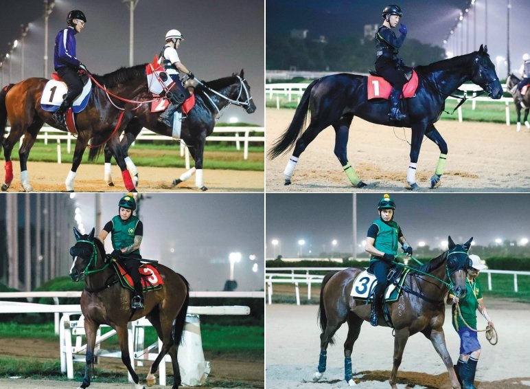 10일 렛츠런파크 서울에서 열리는 국제 경주 코리아컵과 코리아스프린트 참가를 위해 일본과 홍콩의 경주마들이 속속 한국 땅을 밟고 
있다. 새벽조교 중인 일본 경주마 바스라트레온(왼쪽)과 글로리아먼디, 경주로 적응훈련을 하고 있는 일본 기대마 크라운프라이드, 
홍콩 경주마 듀크와이와 아파치패스의 새벽 조교 모습(왼쪽부터 시계방향). 사진제공 l 한국마사회