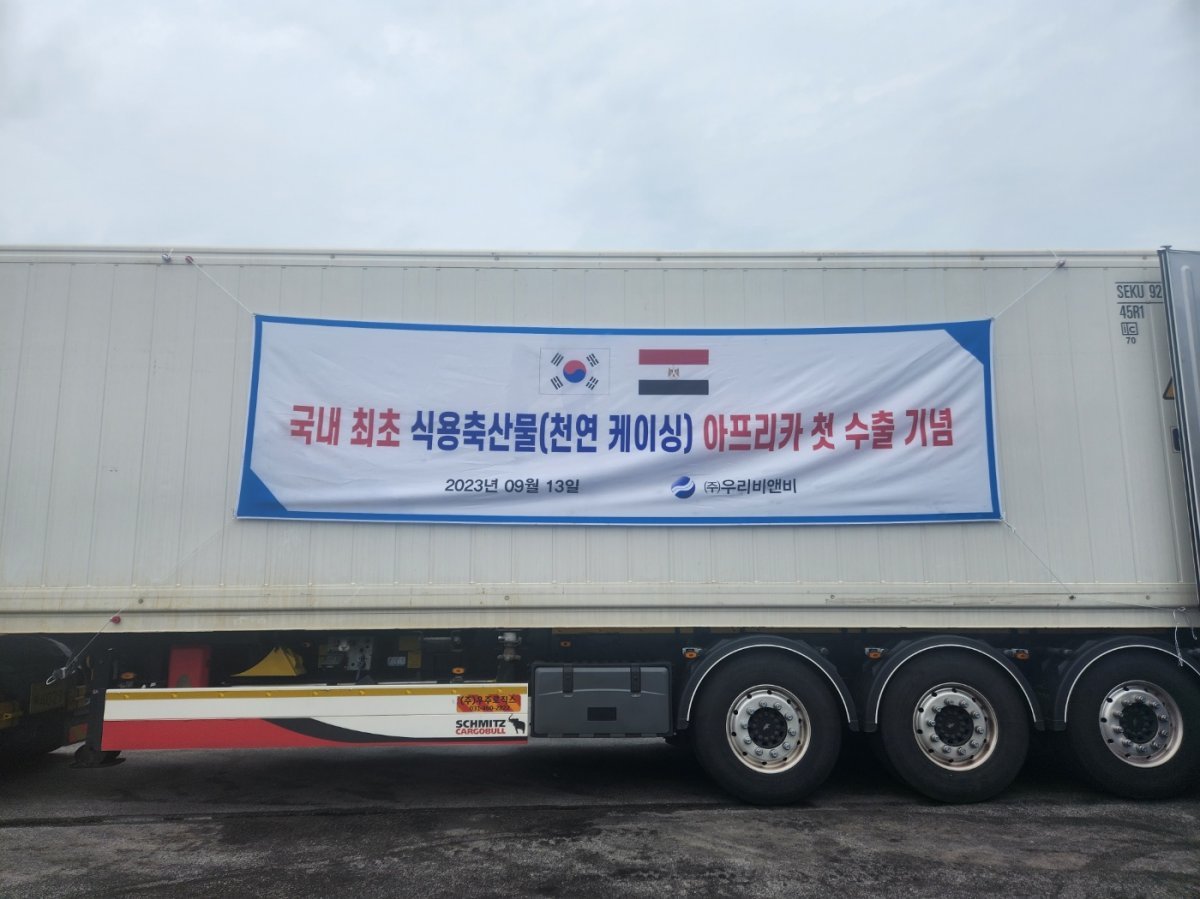 ㈜우리비앤비가 13일 이집트에 천연돈장케이싱 24톤 물량을 첫 수출했다. 사진제공ㅣ전북도