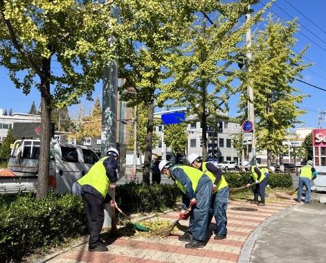 울산시설공단이 가로수 은행나무 열매털기 작업을 하고 있는 모습. 사진제공ㅣ울산시설공단