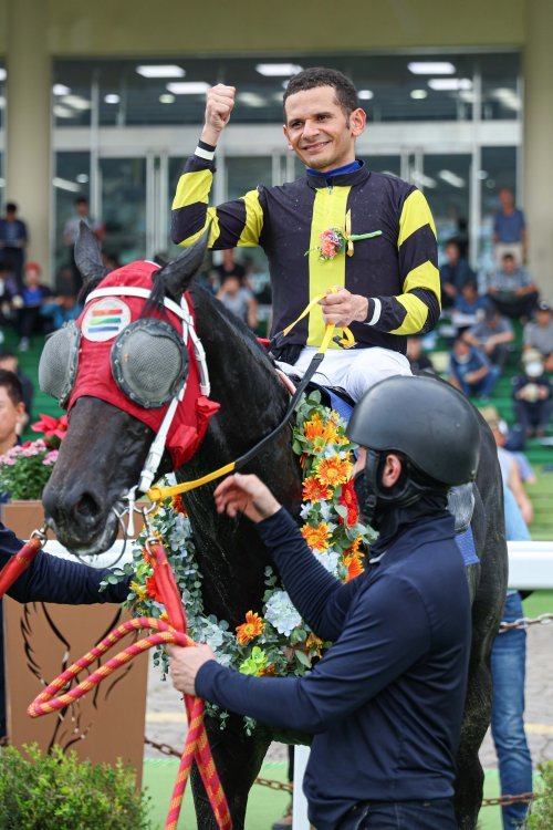 너트플레이와 안토니오 기수
