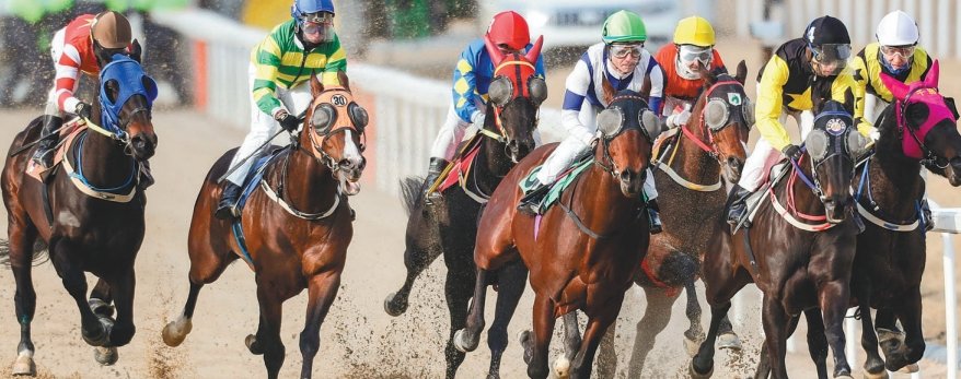 마사회가 최근 발표한 시행계획에 따르면 4분기 경마는 6일부터 12월31일까지 총 13주간 진행한다. 렛츠런파크 서울에서는 
28일간 301개 경주를 시행하며, 렛츠런파크 부산경남에서는 26일간 198개 경주가 열린다. 이 기간 대상경주는 13개(서울 
6개, 부산경남 7개)를 실시한다. 사진제공｜한국마사회