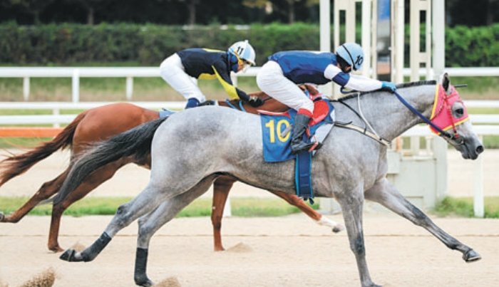 서울 첫 경주서 우승한 ‘나이스타임’