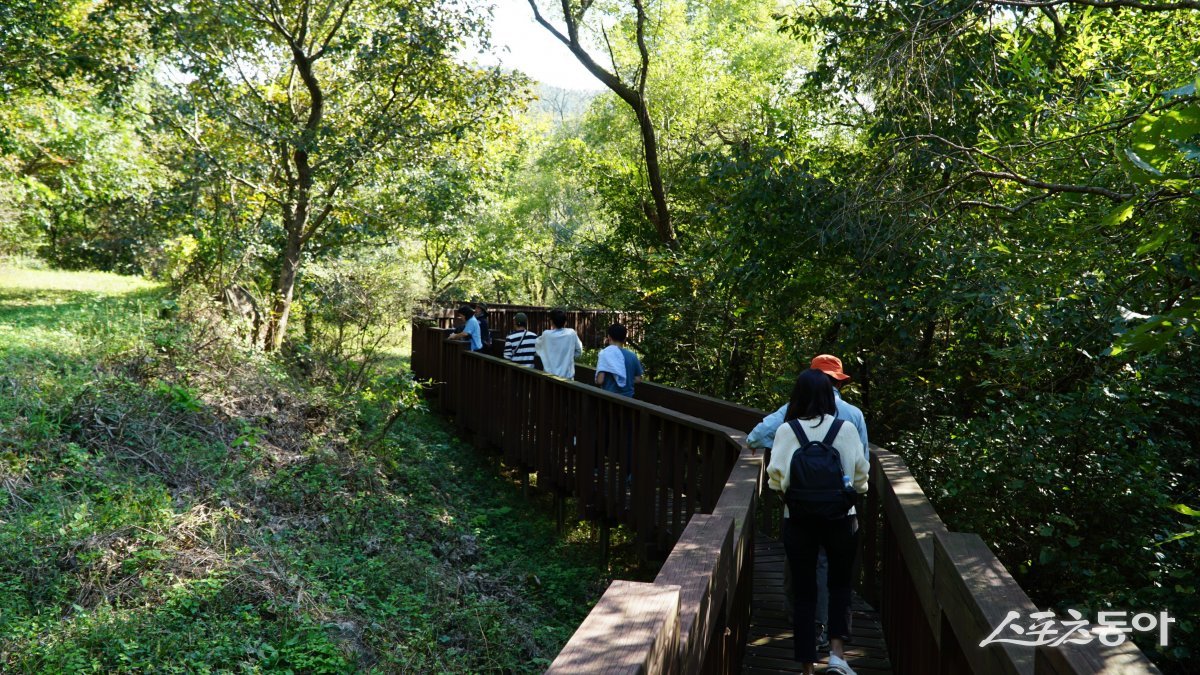 고창 운곡람사르습지생태공원의 탐방로. 생태계 훼손을 막기 위해 습지를 지나는 탐방 코스 대부분이 데크길로 만들어져 있다. 고창 | 김재범 기자 oldfield@donga.com