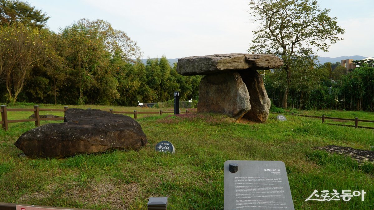 고창 도산리에 있는 탁자형 고인돌. 고창 고인돌 유적은 세계에서 가장 크고 넓게 고인돌 군집을 이루고 있는 곳이다. 고창 | 김재범 기자 oldfield@donga.com