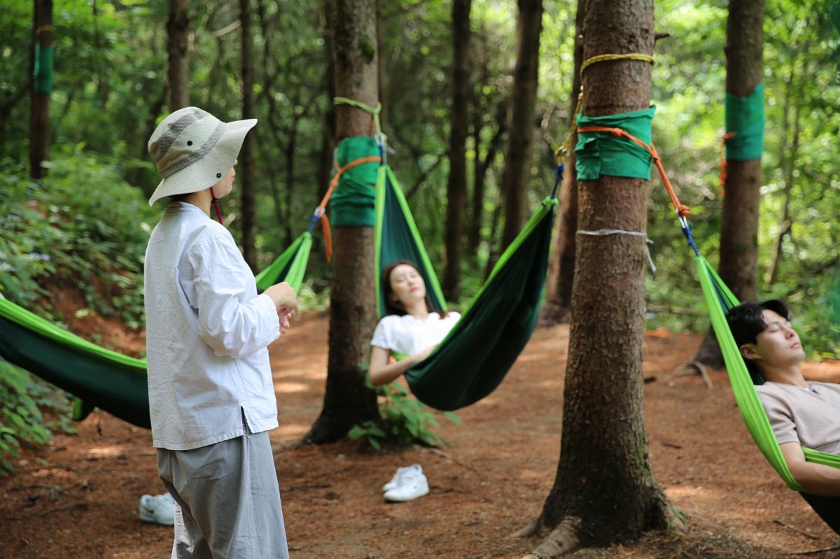 국립산림치유원 해먹체험 모습. 사진제공ㅣ영주시