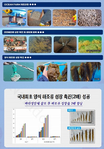 바다 영양제 ‘오션팜’ 제조 과정(위)과 효과(아래). 사진제공ㅣ제이엠㈜