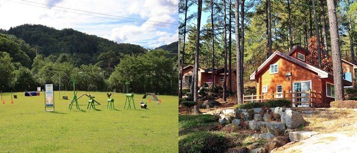 반려동물 친화 부문 인제군 라이프 위드 도그 캠핑장(왼쪽), 친환경 야영장 부문 백운산 자연휴양림 야영장
