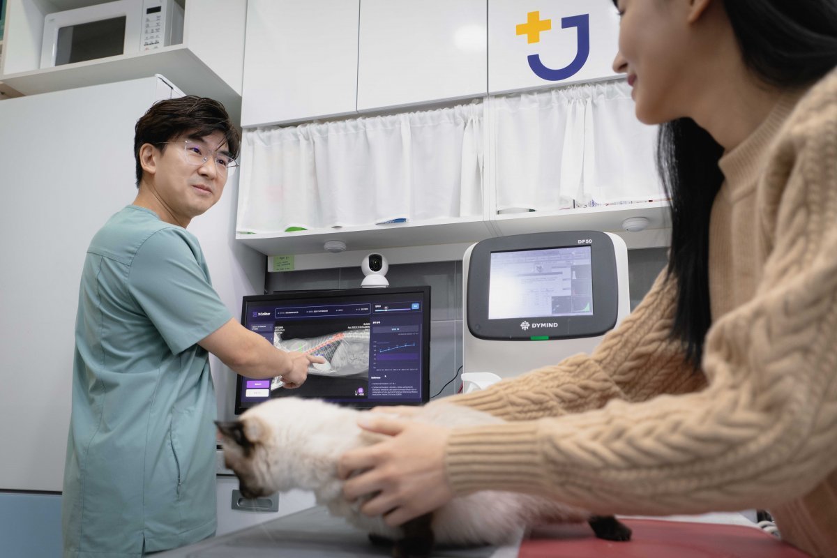 수도권 소재 동물병원에서 수의사가 엑스칼리버를 활용해 고양이의 엑스레이 사진을 판독하고 있다. 사진제공|SK텔레콤