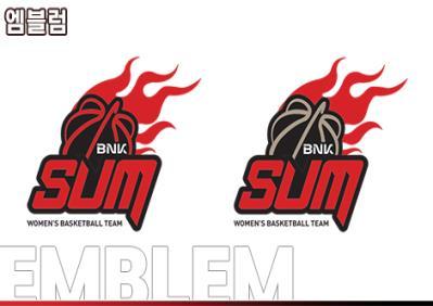 BNK 썸 프로농구단 엠블럼. 사진제공ㅣ부산시