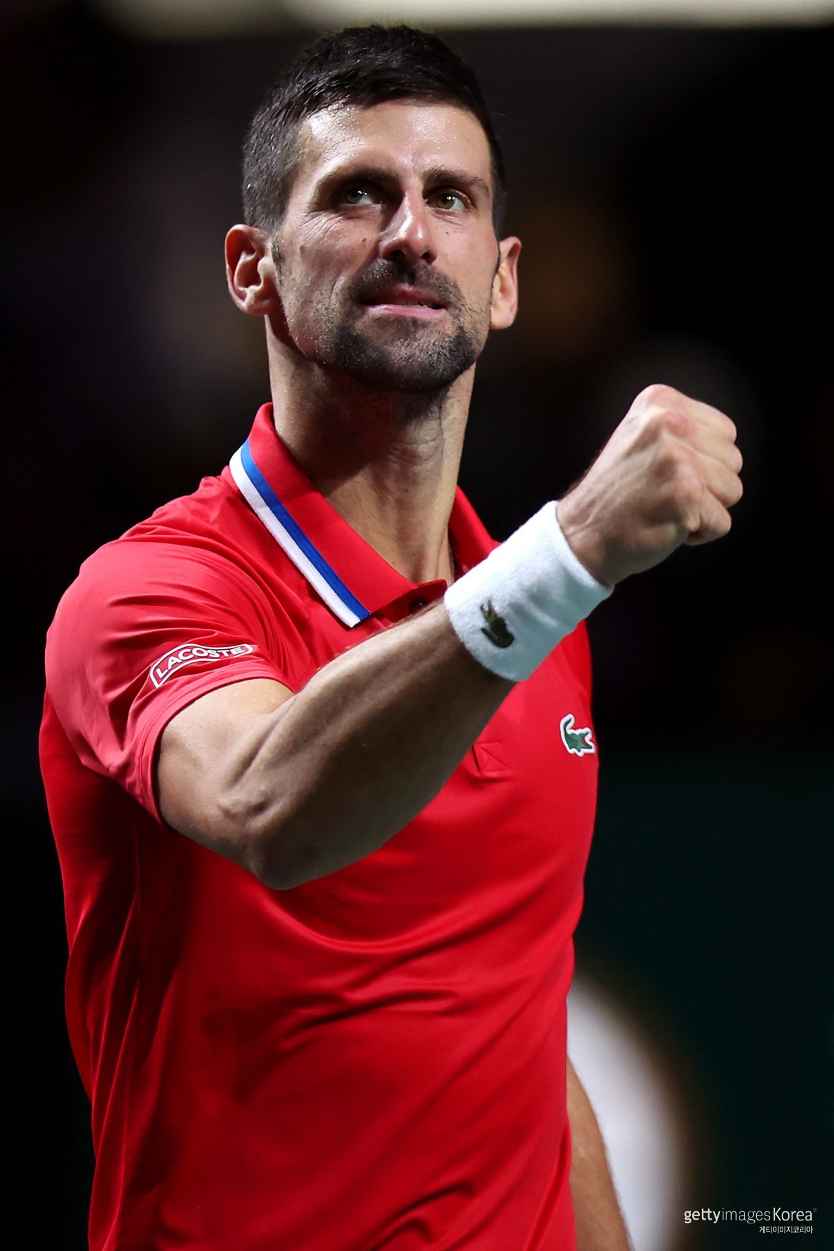 노박 조코비치. 사진=게티이미지코리아