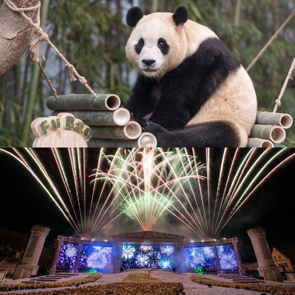 에버랜드 판다월드 푸바오(위), 에버랜드 멀티미디어 불꽃쇼 ‘매직 인 더 스카이’