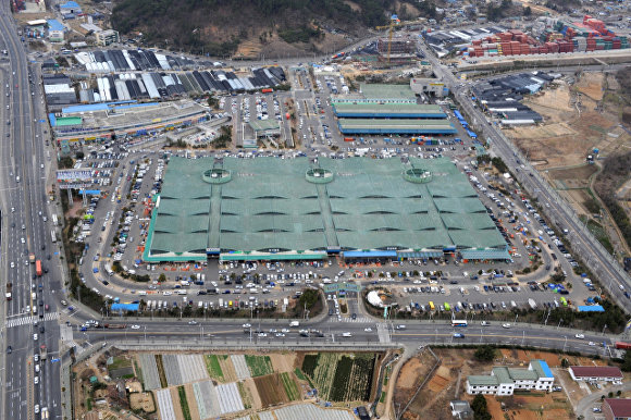 부산시 반여농산물도매시장 전경. 사진제공ㅣ부산시