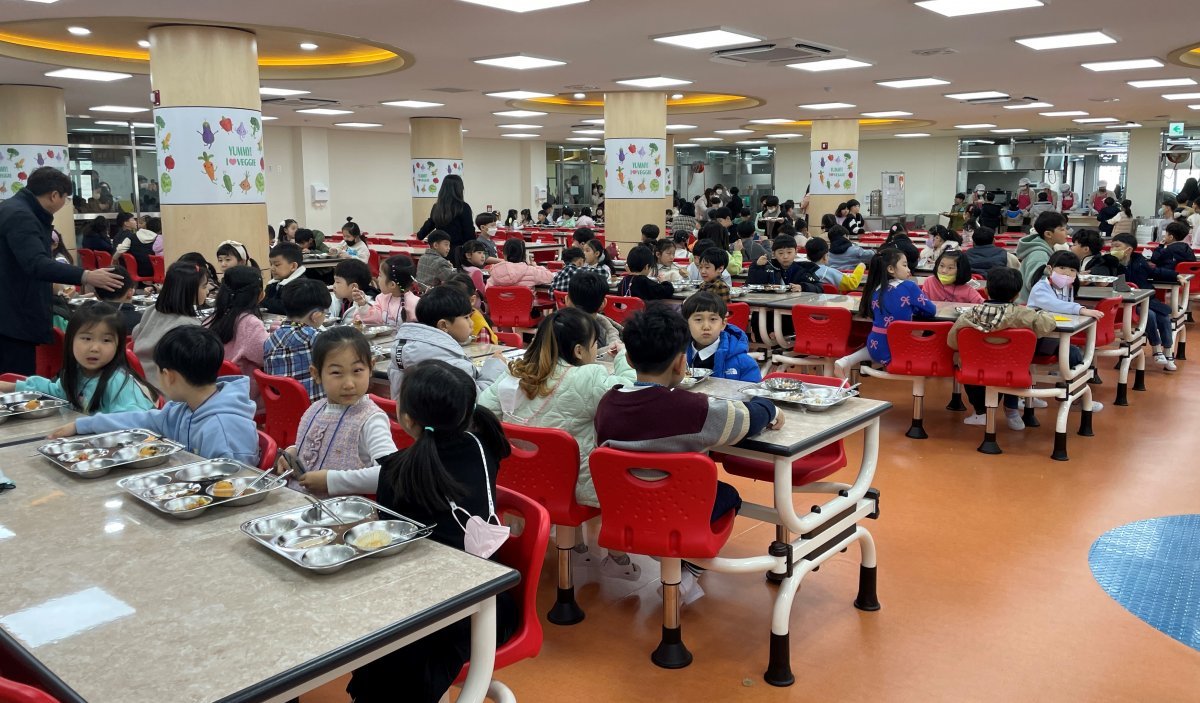 전라남도와 전남도교육청은 2024년 무상학교급식 식품비 단가를 400원 인상해 총 1천204억 원을 지원하기로 했다. 사진제공ㅣ전남도