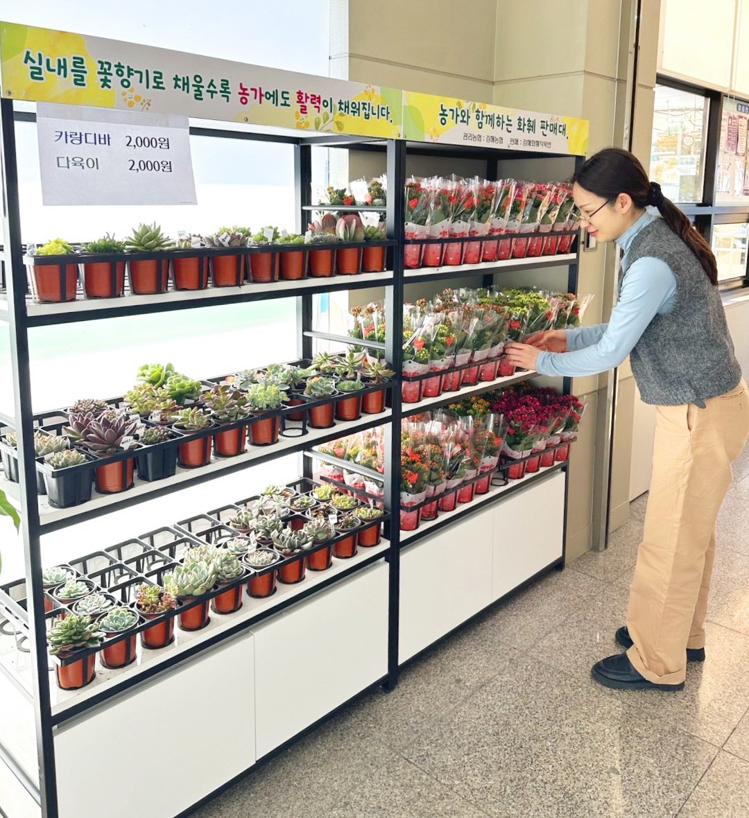 김해시가 설치한 화훼판매대. 사진제공ㅣ김해시