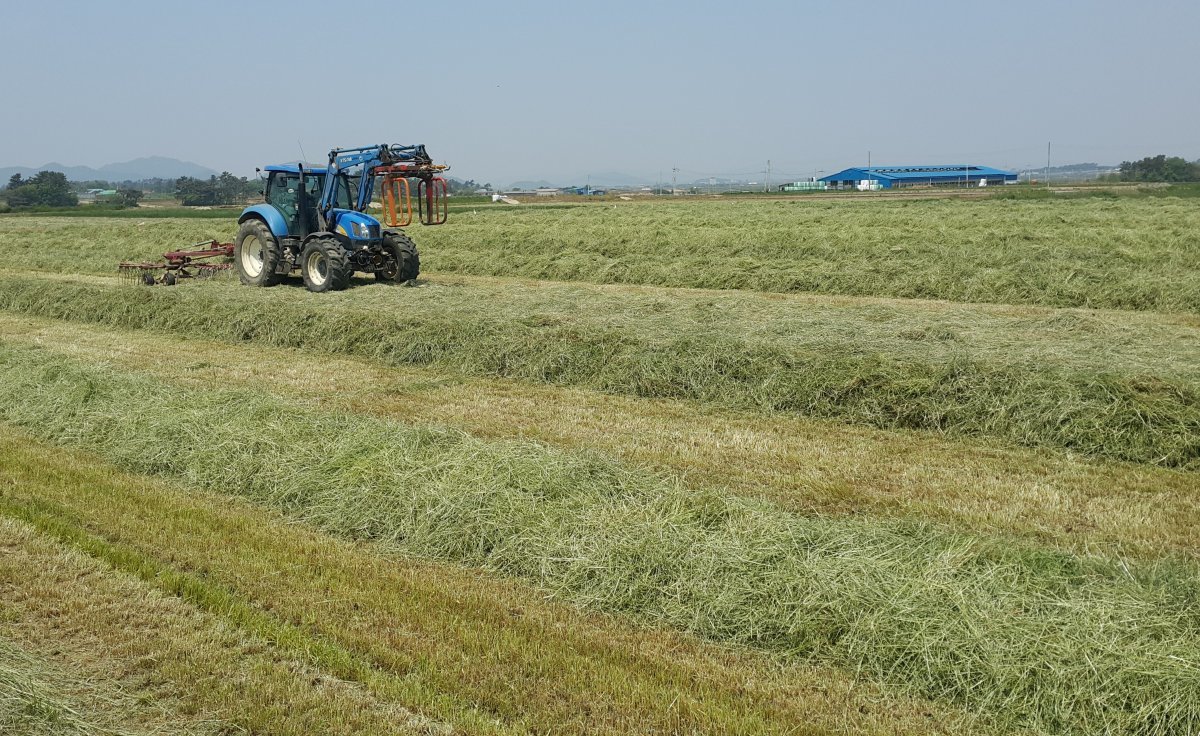 전라남도가 식량산업 경쟁력 강화를 위해 전략작물직불제, 가루쌀 생산단지 조성 사업 등 핵심 12개 사업에 8천 400억 원을 지원한다. 사진제공ㅣ전남도