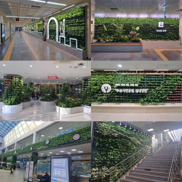 부산시가 ‘생활밀착형 숲 실내정원’을 조성한 사진. 사진제공ㅣ부산시