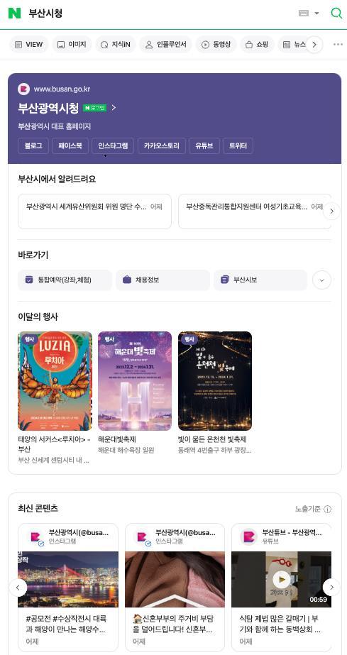 공공정보 특화 검색 화면. 사진제공ㅣ부산시