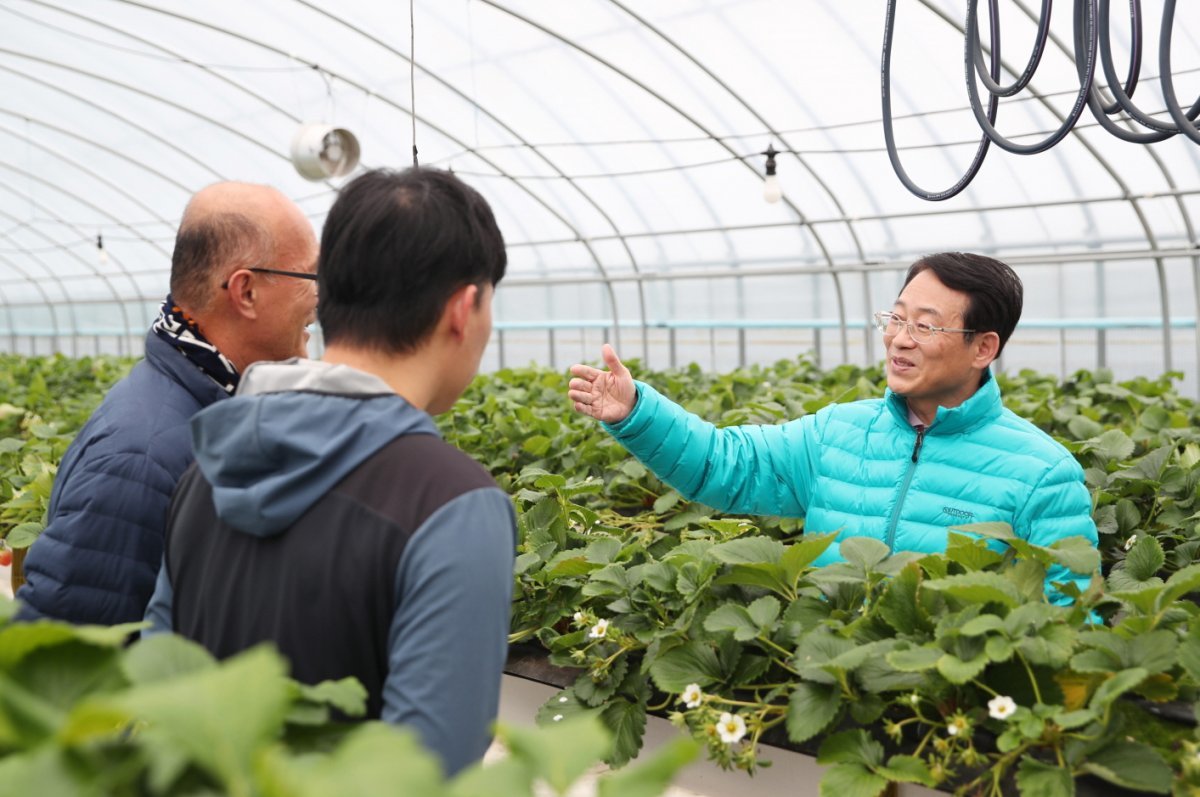 강진원 군수가 지난 17일 딸기농장을 방문해 현장의 의견을 청취했다. 사진제공ㅣ강진군