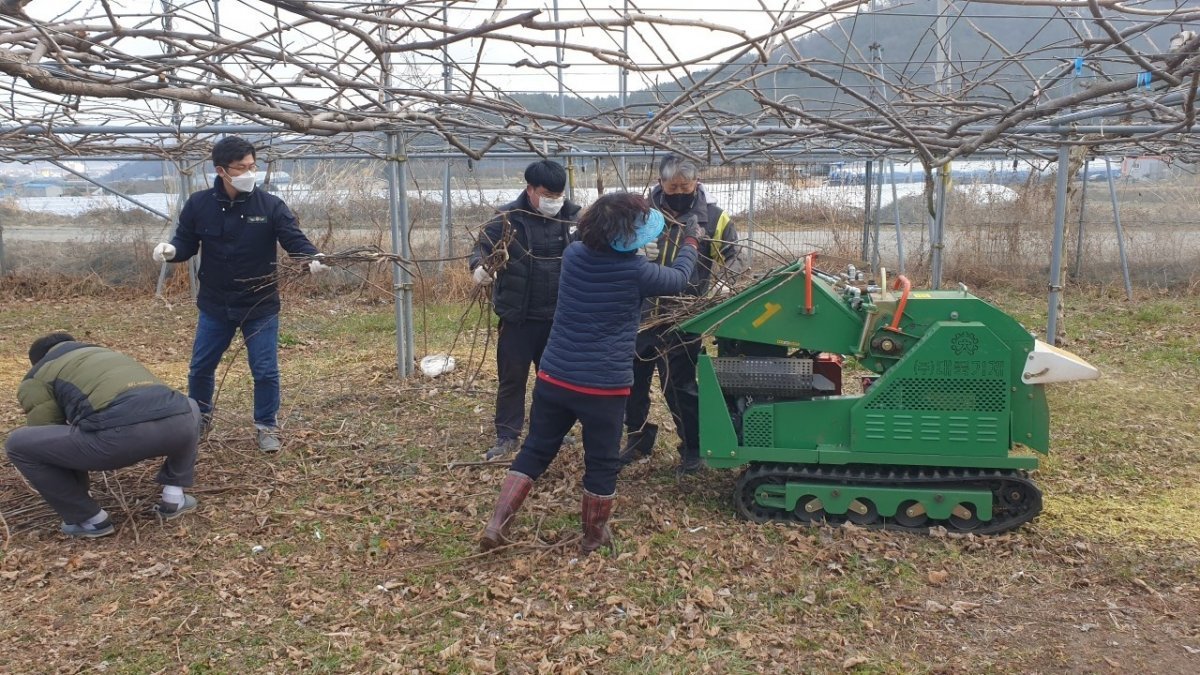 지난해 10월 강진군 강진읍 보전마을에서 과수 농가의 잔가지를 파쇄해 퇴비화하고 있는 모습. 사진제공ㅣ강진군