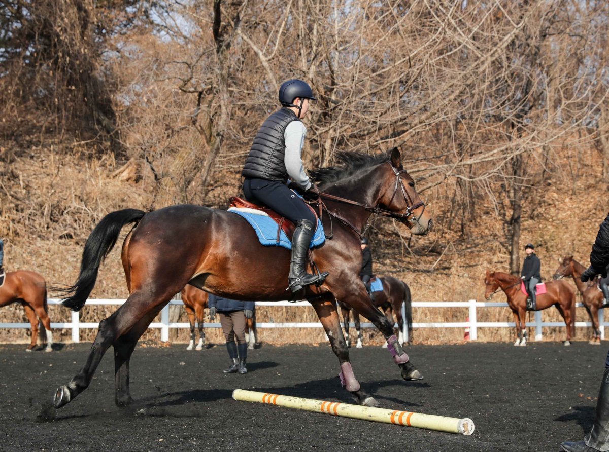 말산업 교육에 나서는 한국마사회 승마 관계자들.
사진제공 | 한국마사회