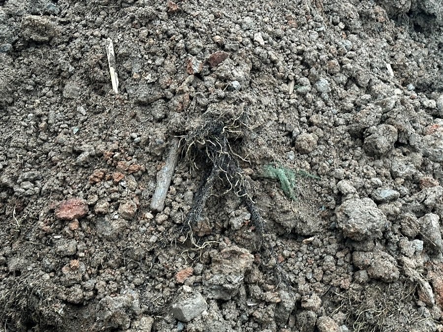 경기 ’시흥 거모지구 조성 공사‘ 조성 터 한 켠에 폐기물들이 쌓여있다. 사진ㅣ장관섭 기자