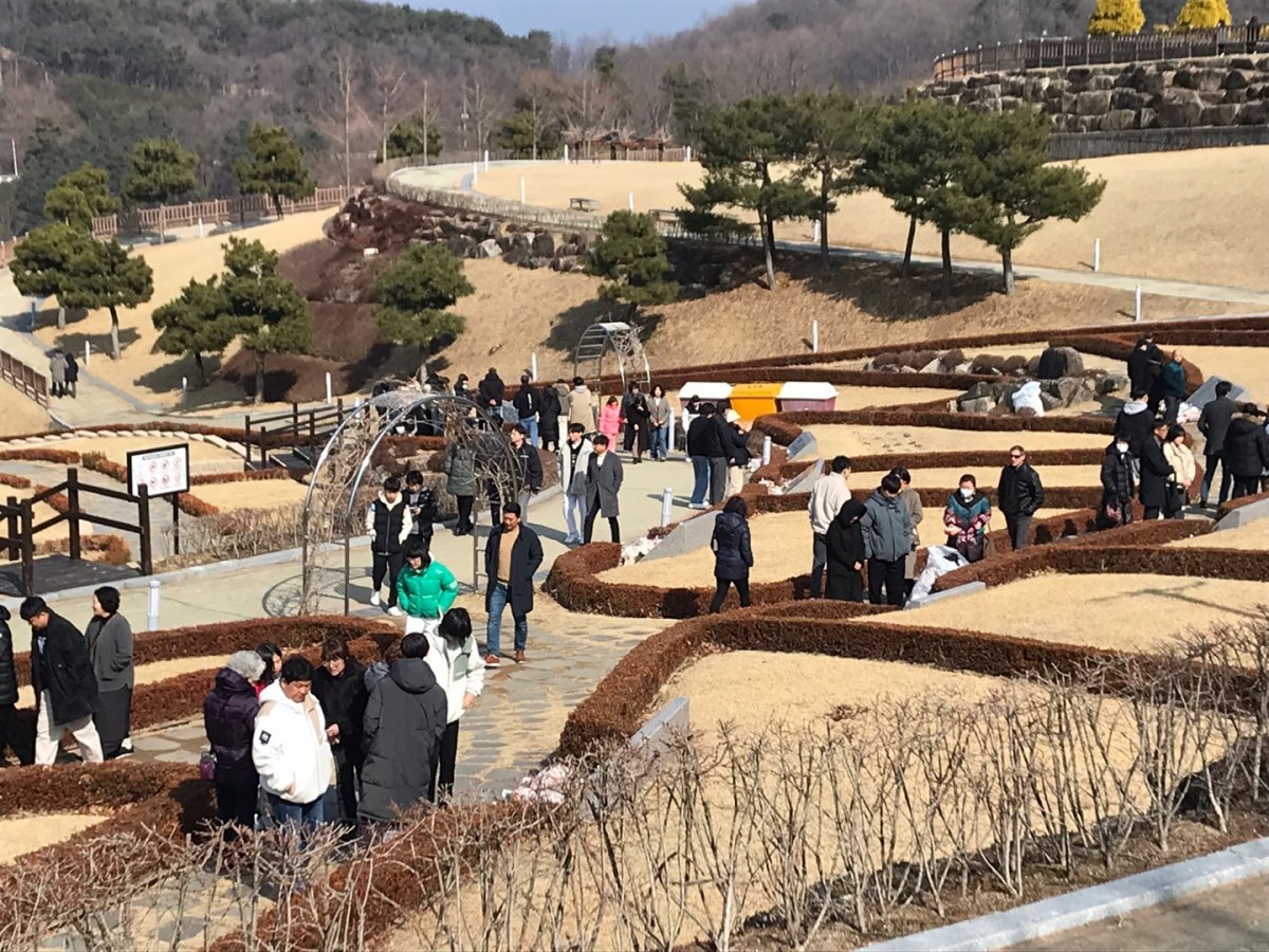 지난 설 연휴 동안 울산하늘공원에 방문객들이 공원을 이용하고 있다. 사진제공ㅣ울산시설공단