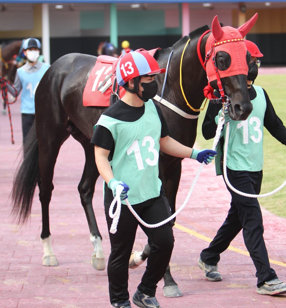 대지초이스.
사진제공 | 한국마사회