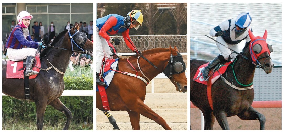 17일 렛츠런파크 서울에서 열리는 ‘제22회 헤럴드경제배’에 출전하는 글로벌히트, 빅스고, 스피드영(왼쪽부터). 사진제공 l 한국마사회