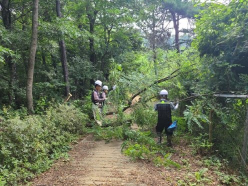 쾌적한 숲길 모습. 사진제공 ㅣ파주시