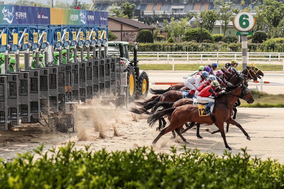 사진제공 | 한국마사회