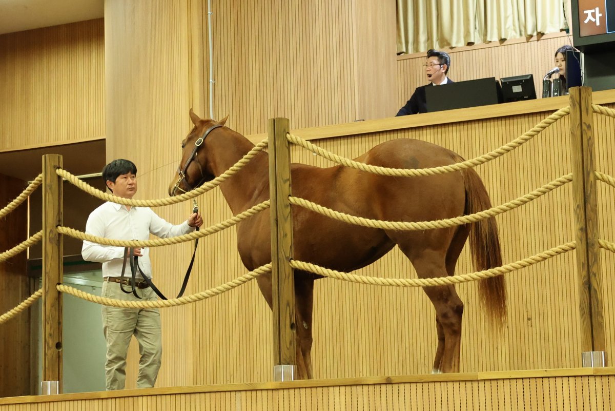 사진제공 | 한국마사회