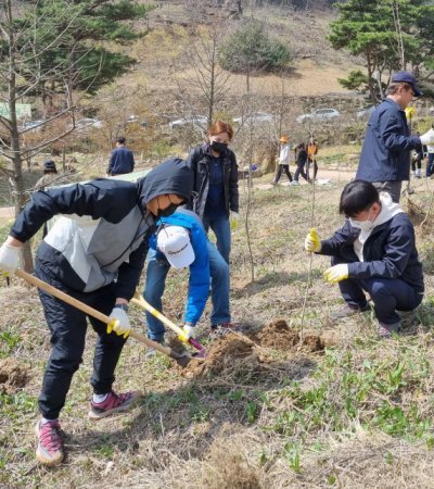 전라남도가 주민 소득과 관광 자원화 기반을 구축하기 위해 나무를 식재한다. 사진제공 | 전남도