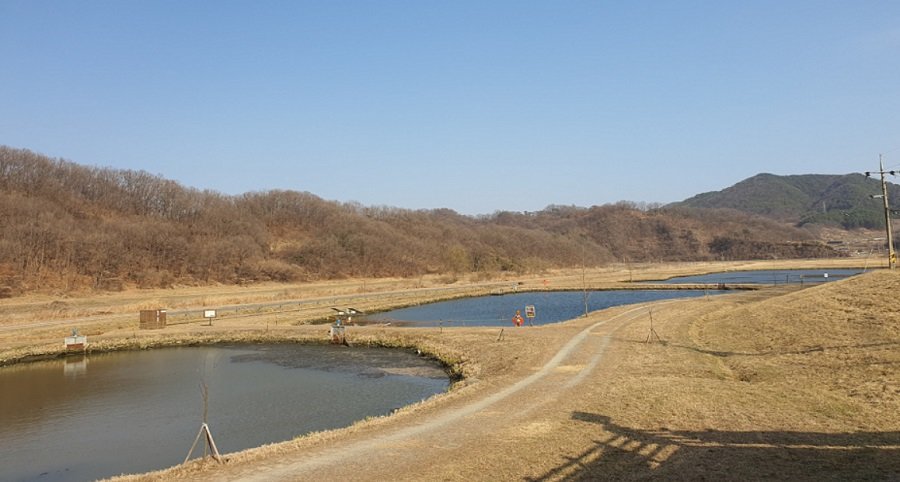 비점오염저감시설 서화천 생태습지 전경. 사진제공ㅣ충북도청