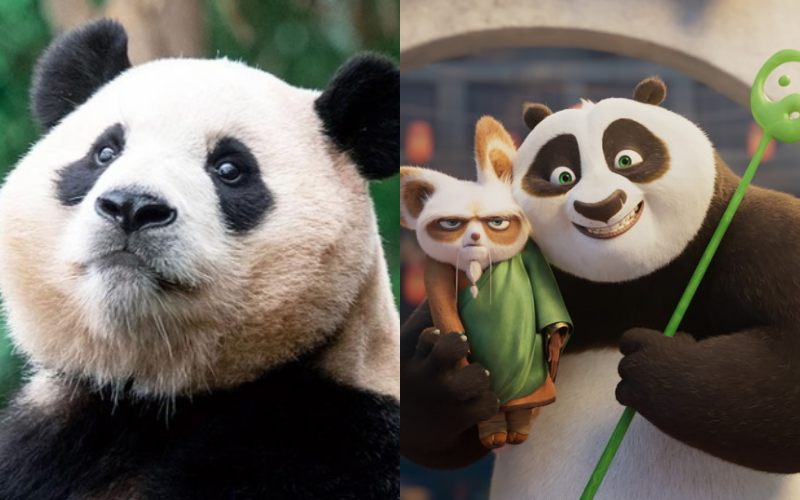 사진제공｜에버랜드-유니버설 픽쳐스