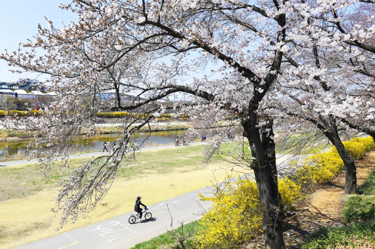 상대원동 중원초등학교 앞. 사진제공 ㅣ성남시