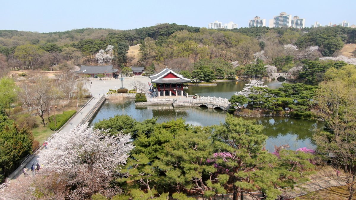 중앙공원 전경. 사진제공 ㅣ성남시