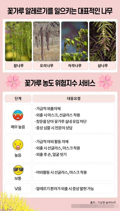 꽃가루 알레르기 관련 안내 이미지. 사진제공 | 온종합병원