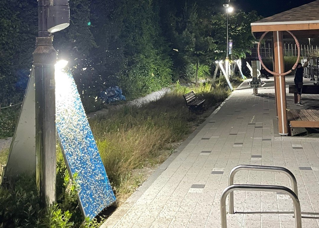 팅커벨’의 계절이 온다… 남양주보건소, 동양하루살이 집중 방제 총력 모습. 사진제공 ㅣ남양주시